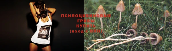 Альфа ПВП Абинск