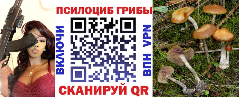 маркетплейс клад  Брюховецкая  Псилоцибиновые грибы MAGIC MUSHROOMS 